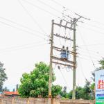 Maragwa Ridge Gardens